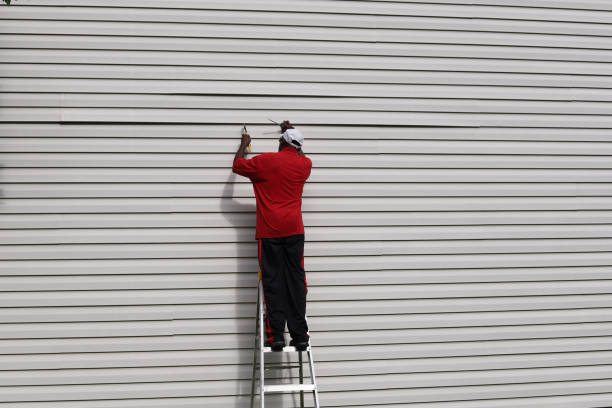 Best Custom Trim and Detailing for Siding  in Bowman, ND